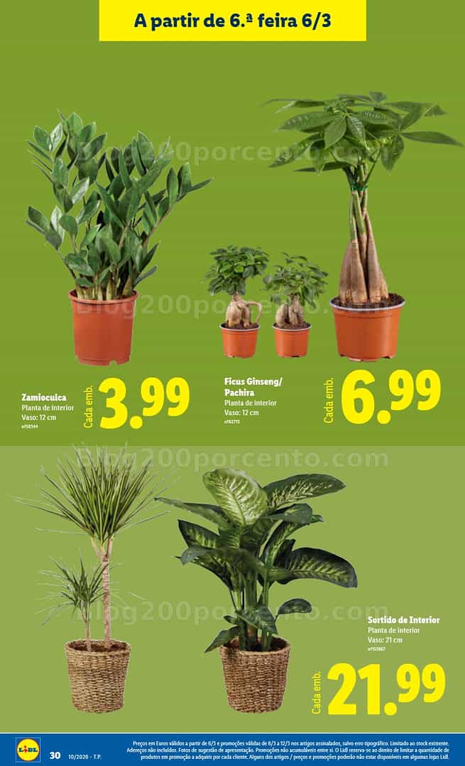 Antevisão Folheto LIDL Promoções de 2 a 8 março - Edição Digital