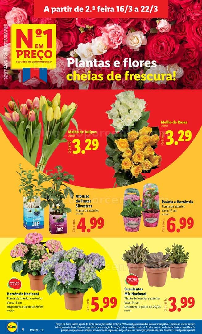 Antevisão Folheto LIDL Mercado de Plantas Promoções de 16 a 22 março