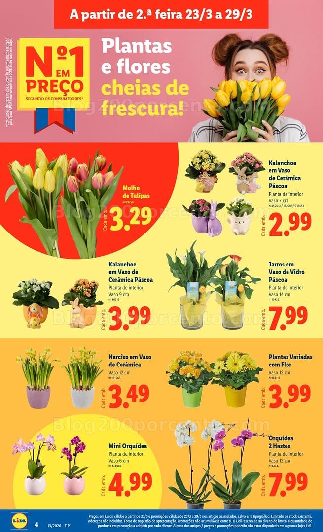 Antevisão Folheto LIDL Mercado de Plantas Promoções de 23 a 29 março