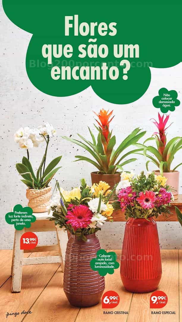 Antevisão Folheto PINGO DOCE Lojas Pequenas Promoções de 3 a 9 março