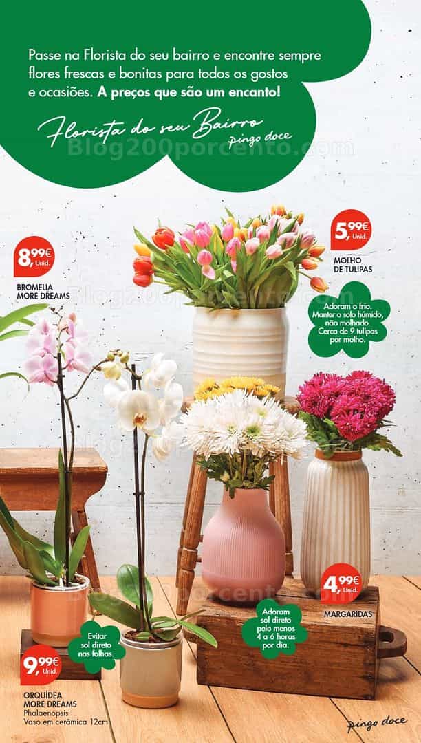 Antevisão Folheto PINGO DOCE Lojas Pequenas Promoções de 3 a 9 março