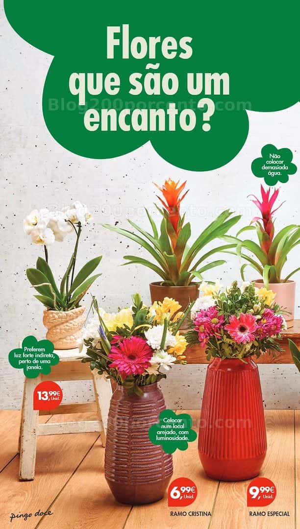 Antevisão Folheto PINGO DOCE Lojas Pequenas Promoções de 10 a 16 março