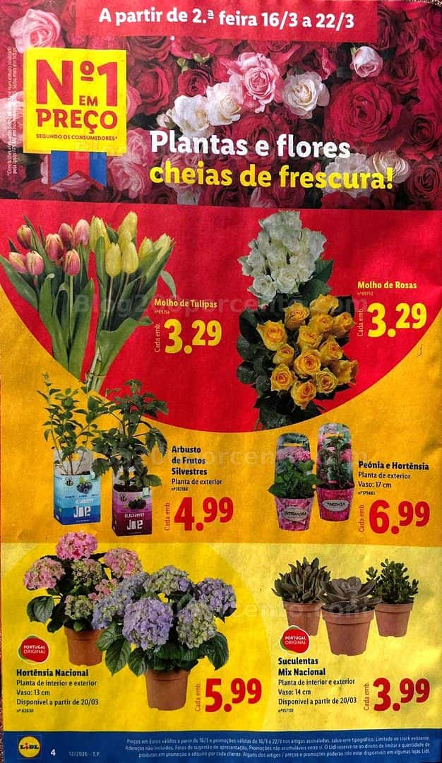 Antevisão Folheto LIDL Promoções de 16 a 22 marco