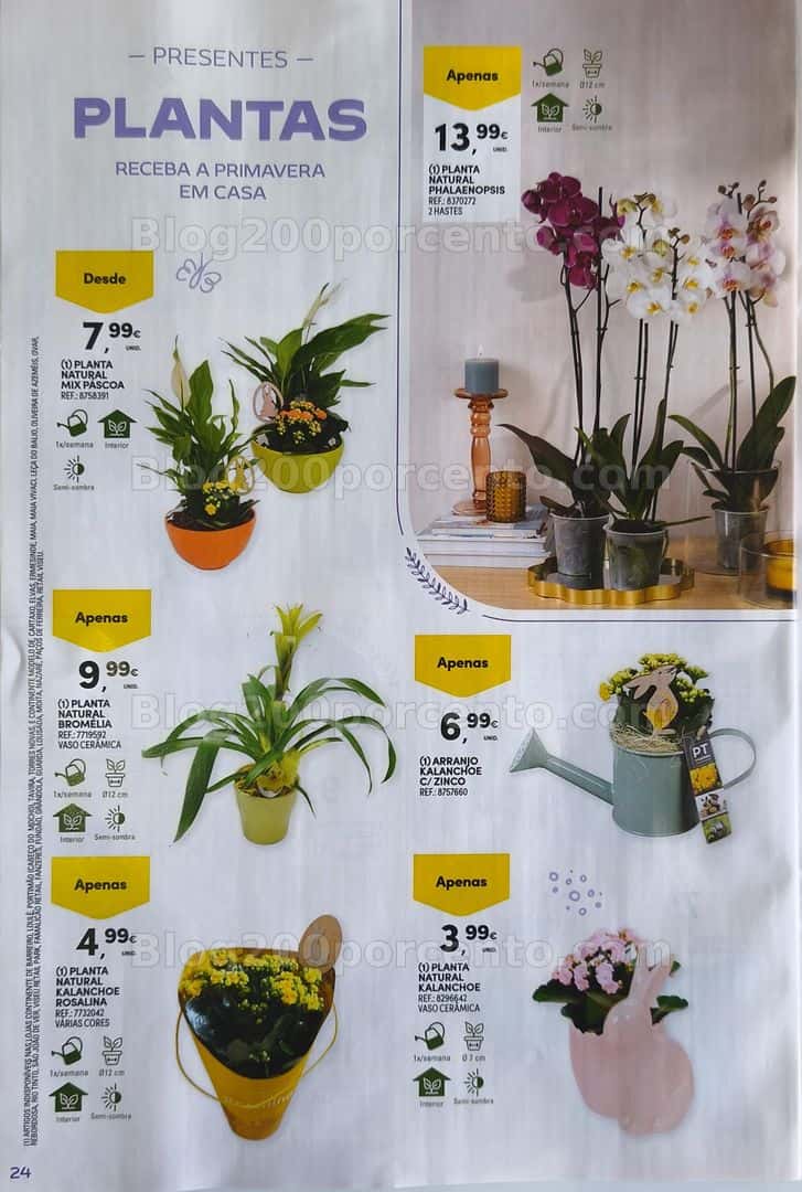 Antevisão Folheto CONTINENTE Casa Promoções de 17 março a 5 abril