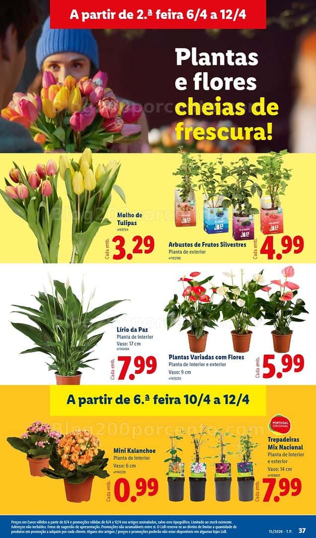Antevisão Folheto LIDL Promoções de 6 a 12 abril
