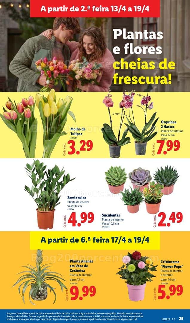 Antevisão Folheto LIDL Mercado de Plantas Promoções de 13 a 19 abril