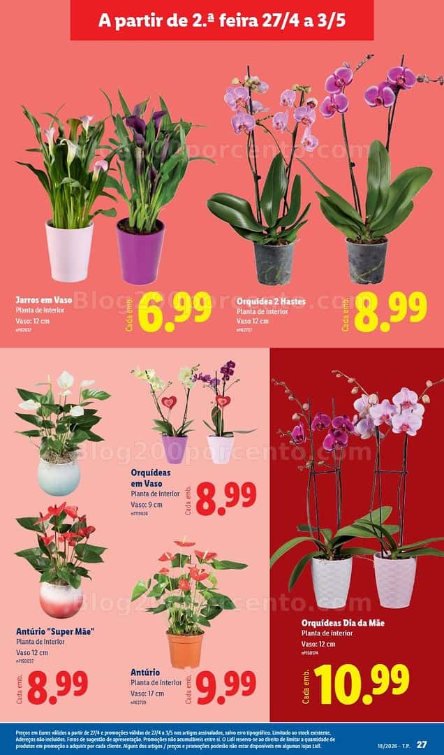 Antevisão Folheto LIDL Promoções de 27 abril a 3 maio