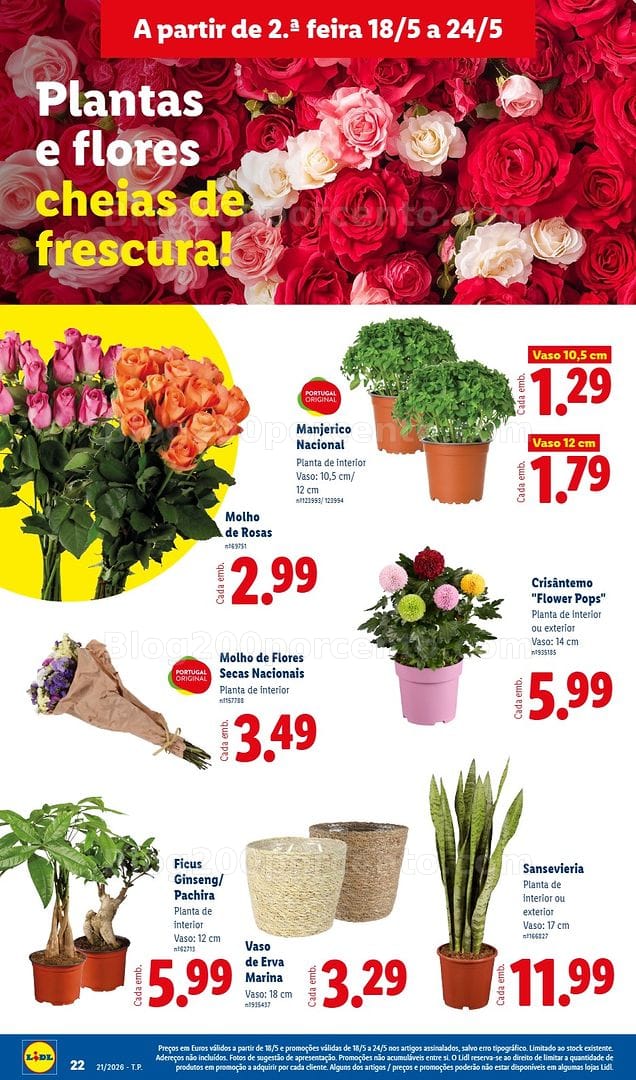 Antevisão Folheto LIDL Promoções de 18 a 24 maio - Edição Digital