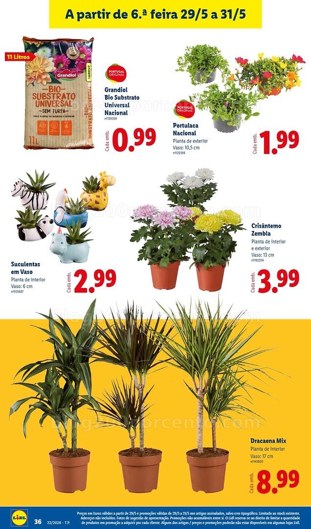 Antevisão Folheto LIDL Promoções de 25 a 31 maio - Edição Digital