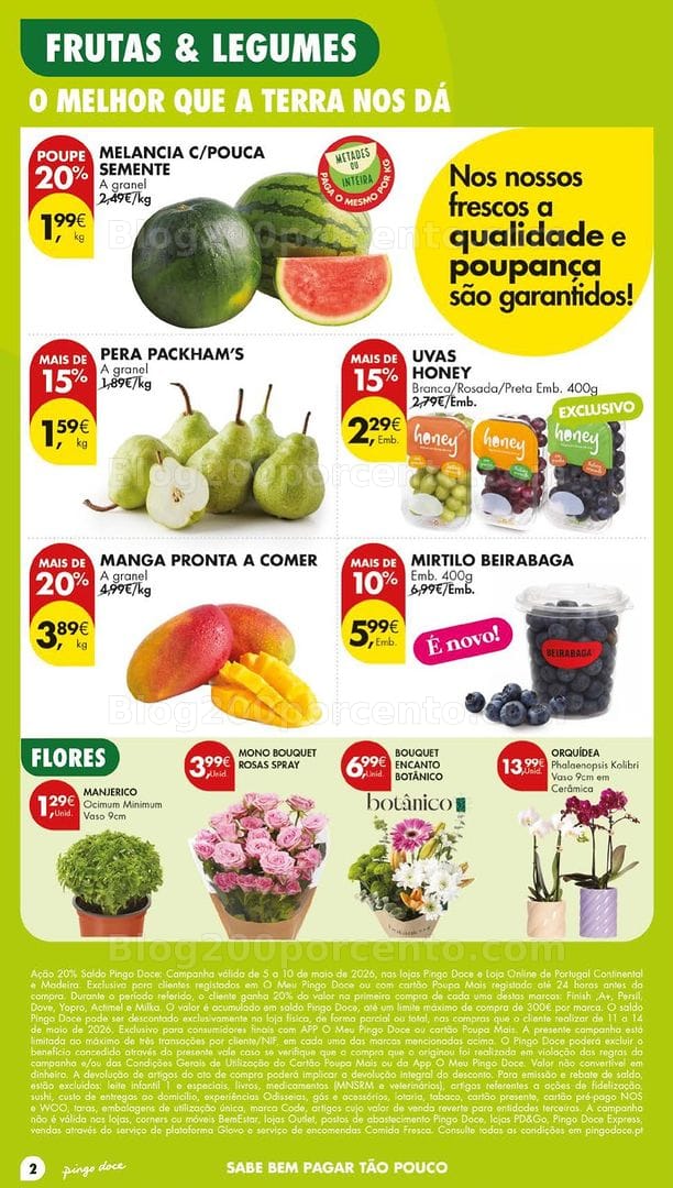 Antevisão Folheto PINGO DOCE Lojas Grandes Promoções de 5 a 11 maio