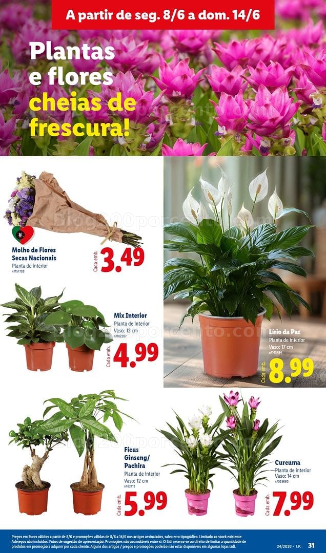 Antevisão Folheto LIDL Promoções de 8 a 14 junho