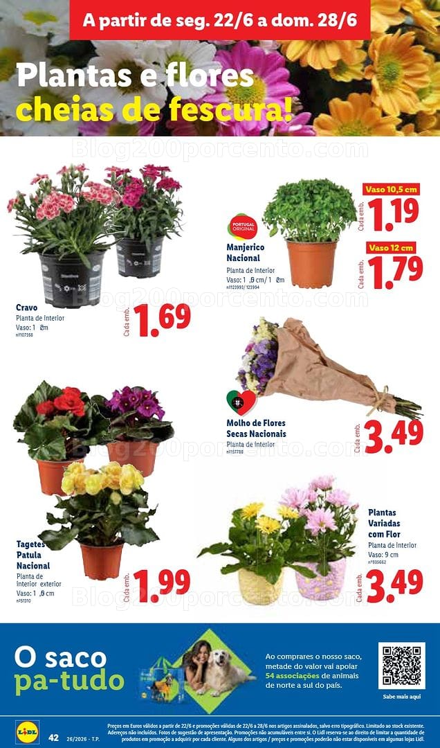 Antevisão Folheto LIDL Mercado de Plantas Promoções de 22 a 28 junho
