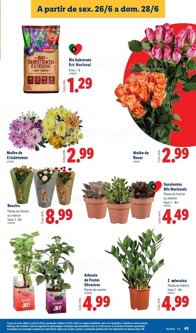 Antevisão Folheto LIDL Promoções de 22 a 28 junho - Edição Digital