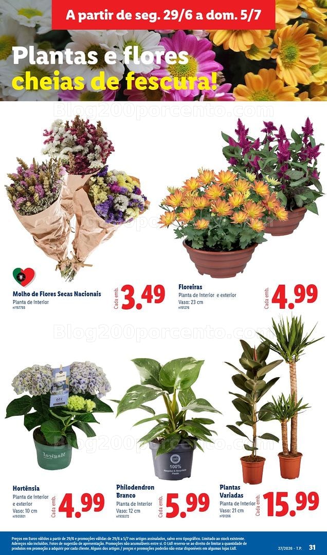 Antevisão Folheto LIDL Promoções de 29 junho a 5 julho