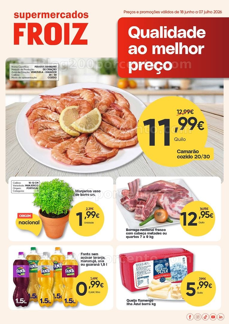 Antevisão Folheto FROIZ Promoções de 18 junho a 7 julho