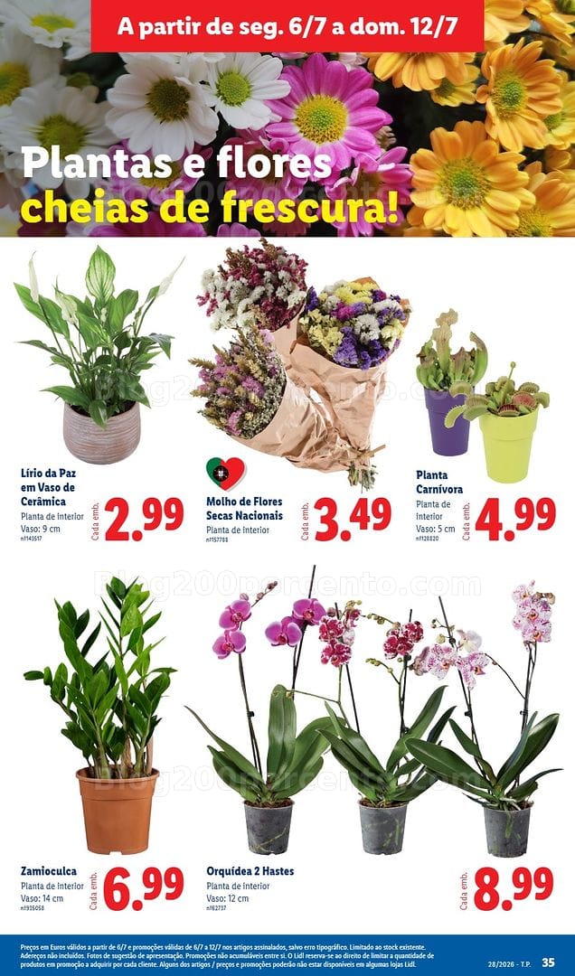 Antevisão Folheto LIDL Promoções de 6 a 12 julho - Edição Digital