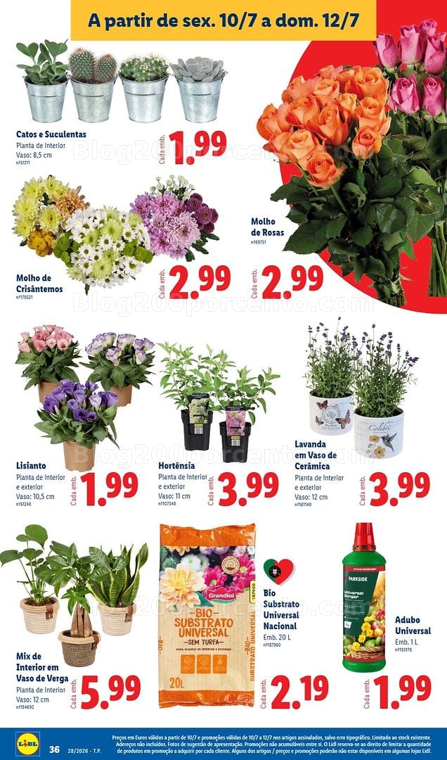 Antevisão Folheto LIDL Promoções de 6 a 12 julho - Edição Digital