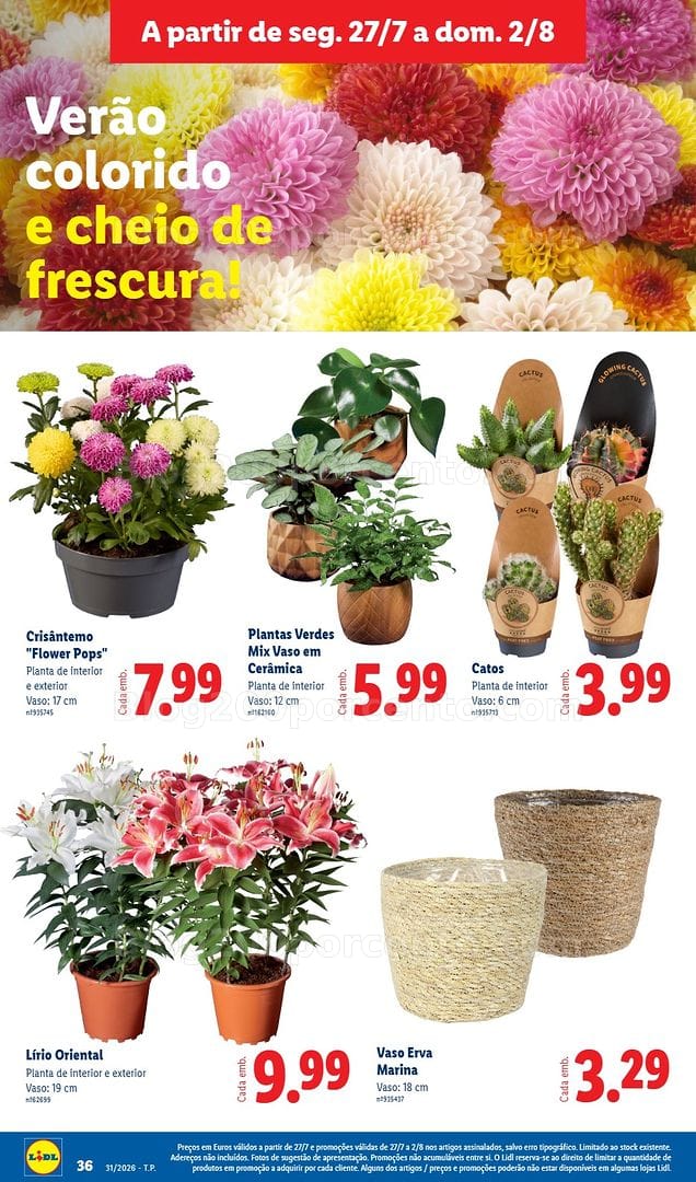 Antevisão Folheto LIDL Promoções de 27 julho a 2 agosto