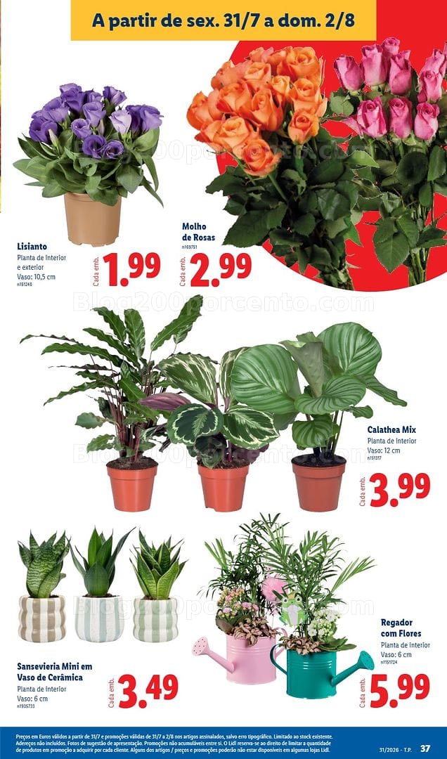 Antevisão Folheto LIDL Promoções de 27 julho a 2 agosto
