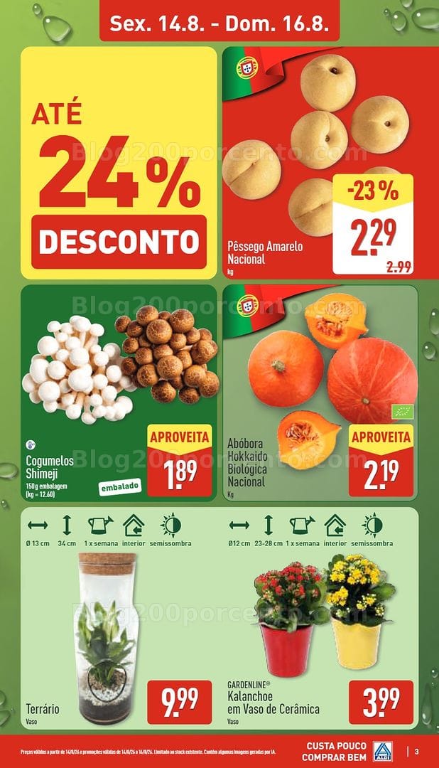 Antevisão Folheto ALDI Saldos Abertura Promoções de 14 a 21 agosto