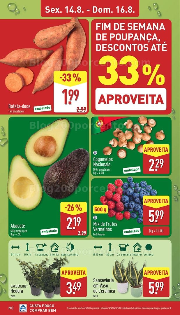 Antevisão Folheto ALDI Promoções de 10 a 16 agosto