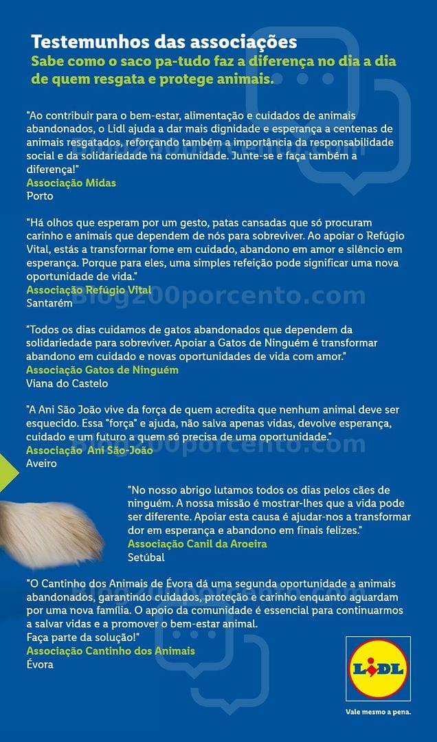 Antevisão Folheto LIDL Promoções de 10 a 16 agosto - Edição Digital