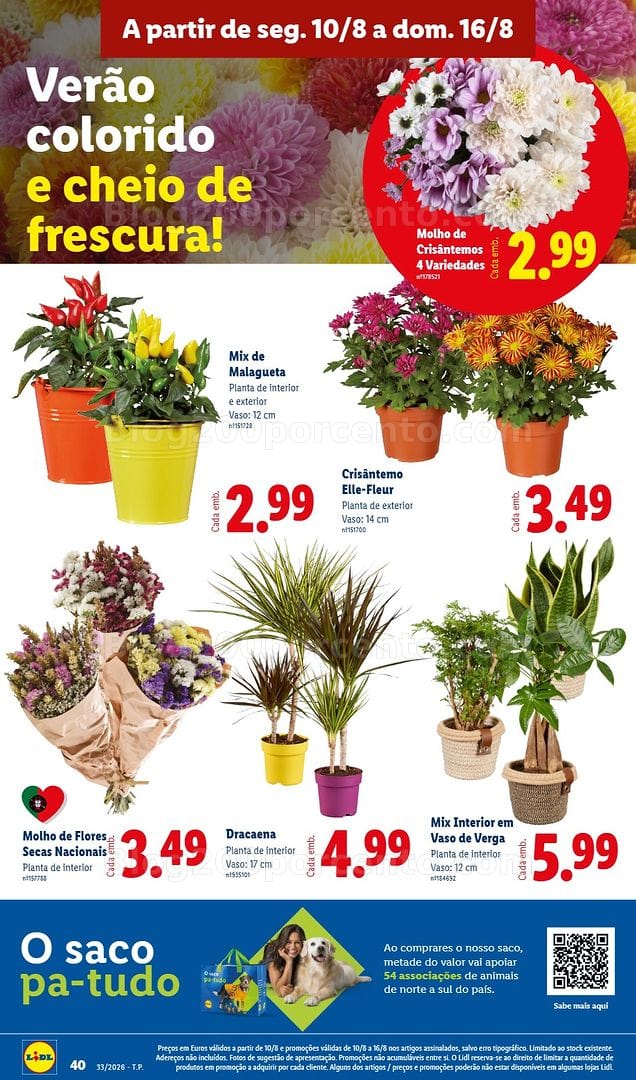 Antevisão Folheto LIDL Promoções de 10 a 16 agosto - Edição Digital