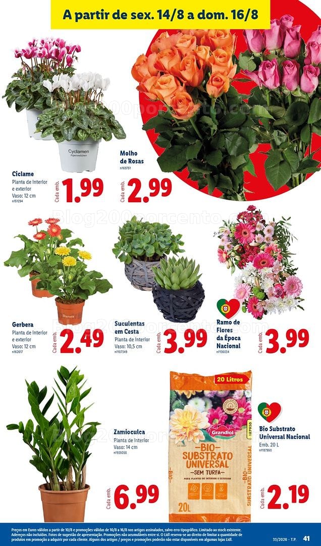 Antevisão Folheto LIDL Promoções de 10 a 16 agosto - Edição Digital