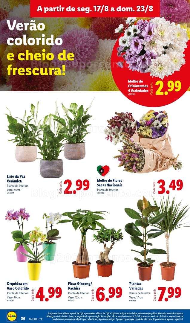 Antevisão Folheto LIDL Mercado de Plantas Promoções de 17 a 23 agosto