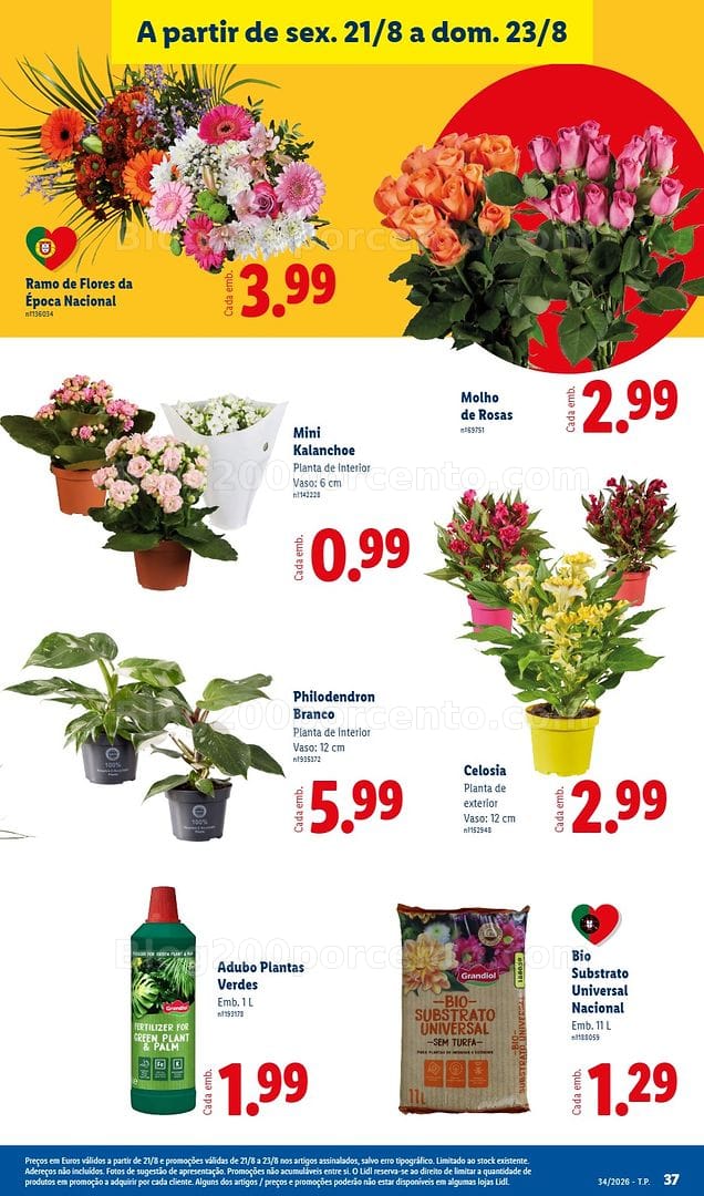 Antevisão Folheto LIDL Supermercado Promoções de 17 a 23 agosto - Edição Digital