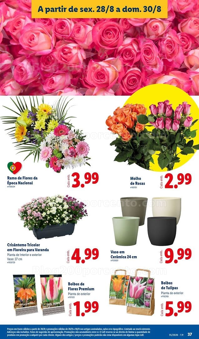 Antevisão Folheto LIDL Mercado de Plantas Promoções de 28 a 30 agosto