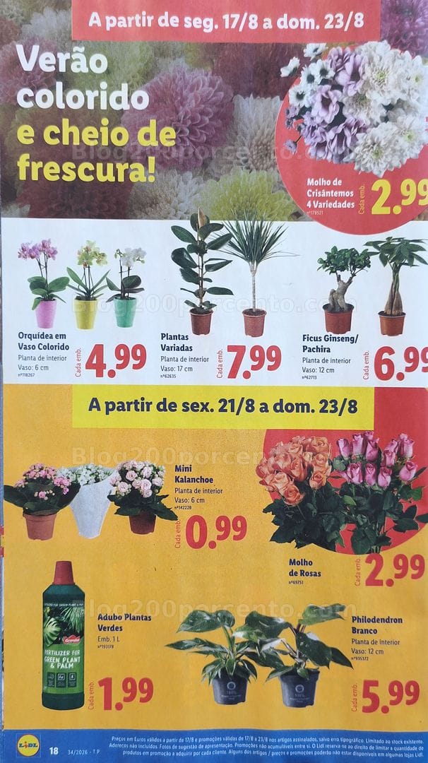 Antevisão Folheto LIDL Promoções de 17 a 23 agosto