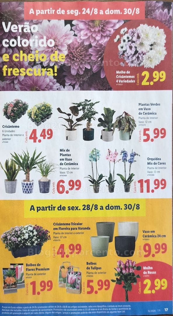 Antevisão Folheto LIDL Promoções de 24 a 30 agosto - Supermercado