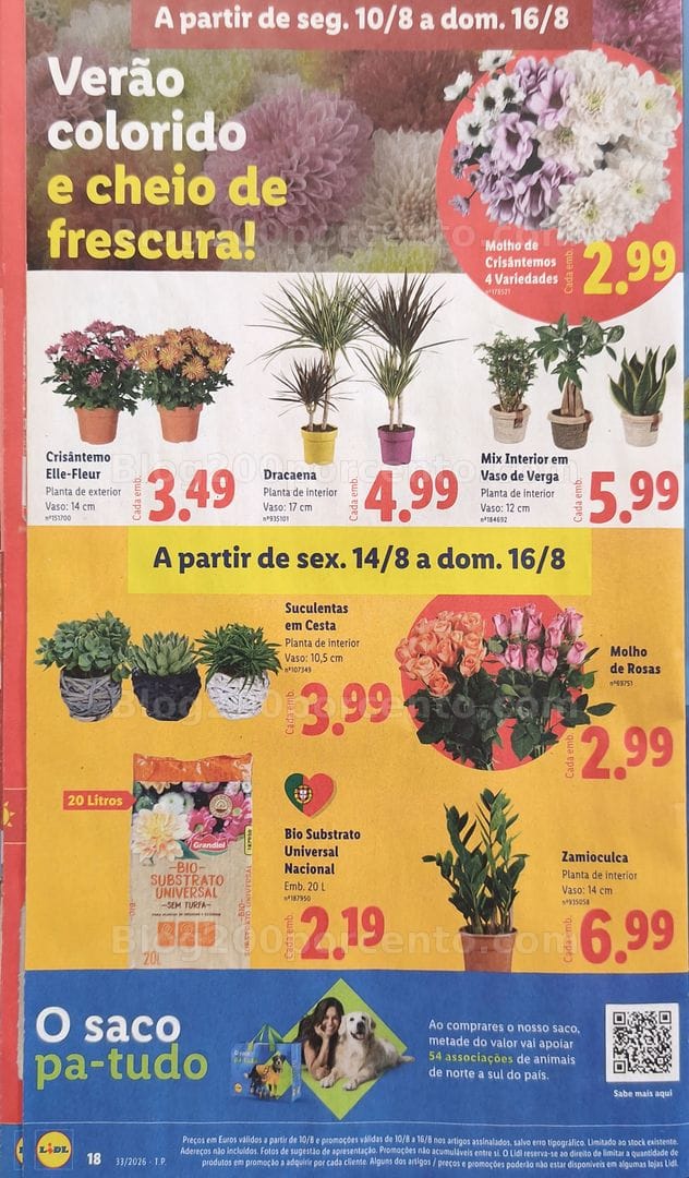 Antevisão Folheto LIDL Promoções de 10 a 16 agosto - Edição Loja