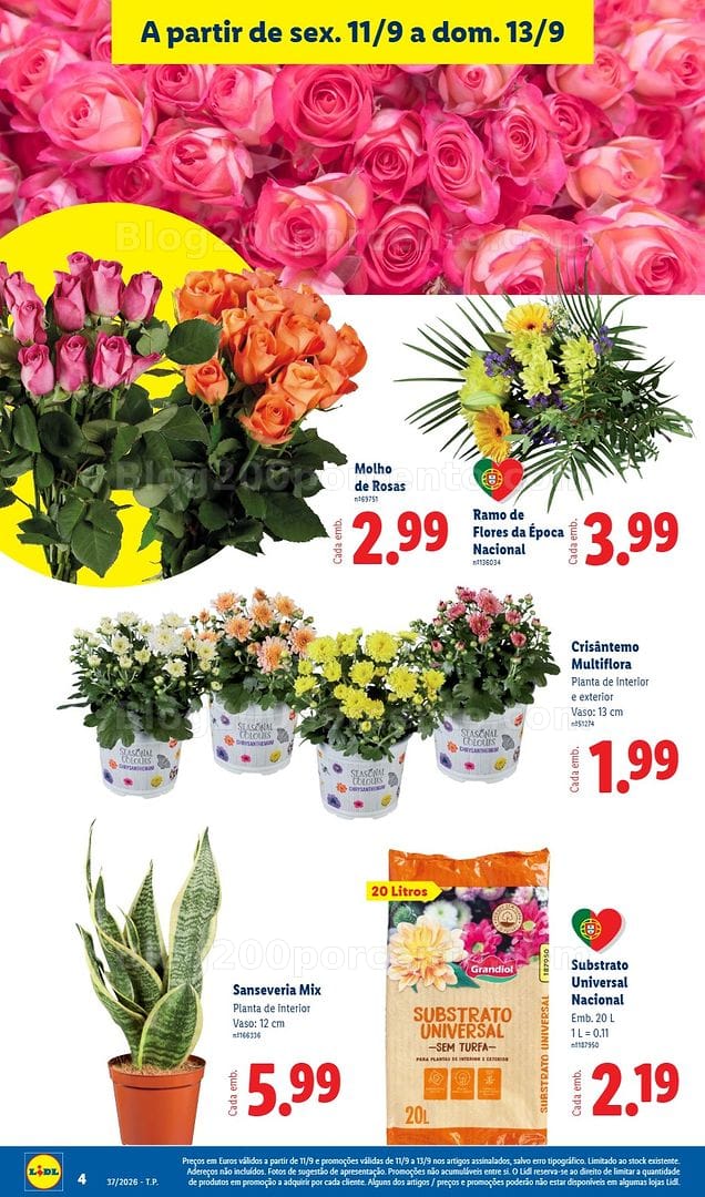 Antevisão Folheto LIDL Mercado de Plantas Promoções Fim de Semana - 11 a 13 setembro