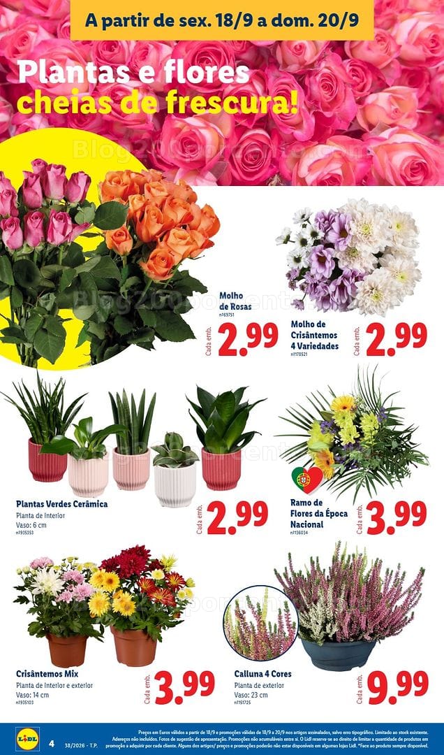 Antevisão Folheto LIDL Mercado de Plantas Promoções de 18 a 20 setembro