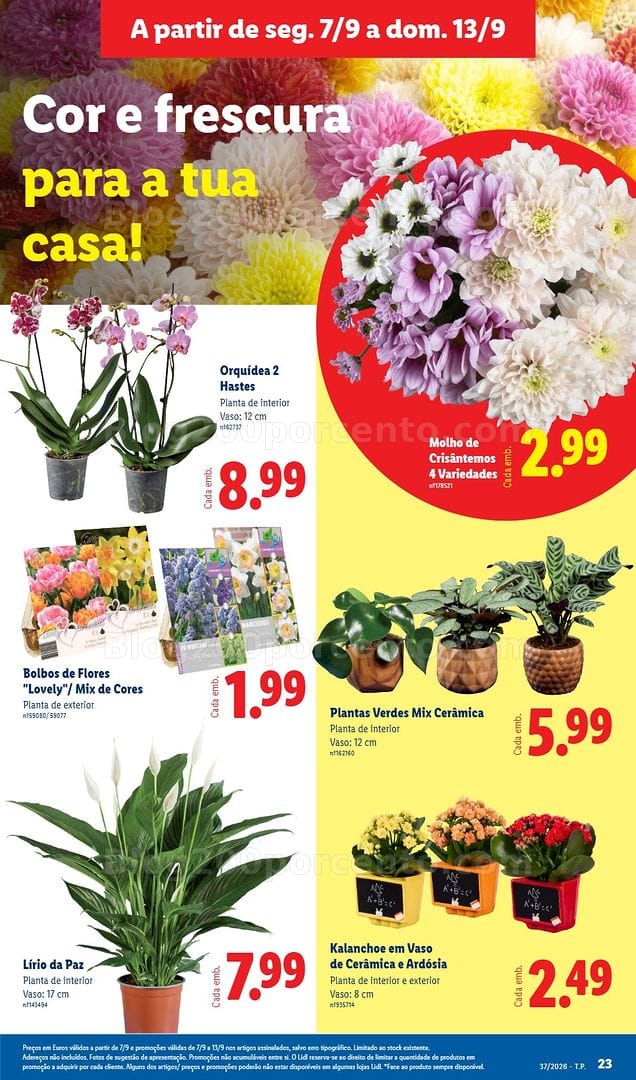 Antevisão Folheto LIDL Mercado de Plantas Promoções de 7 a 13 setembro