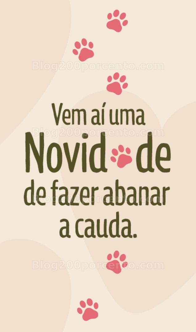 Antevisão Folheto LIDL Promoções de 21 a 27 setembro