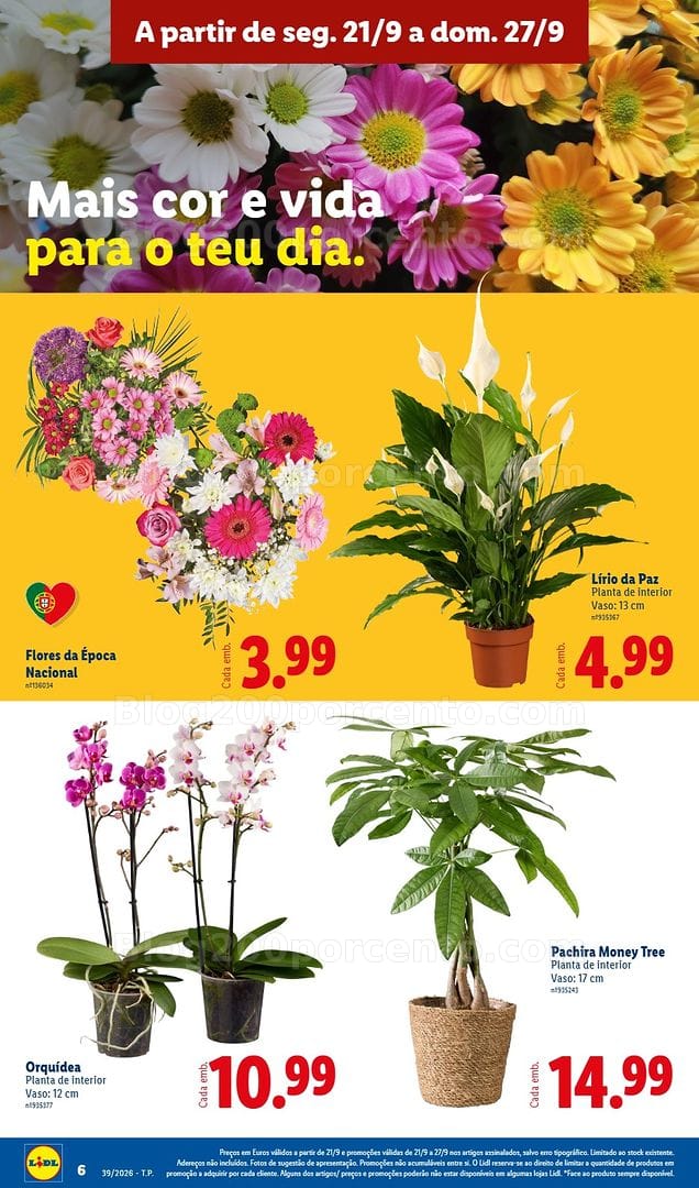 Antevisão Folheto LIDL Promoções de 21 a 27 setembro