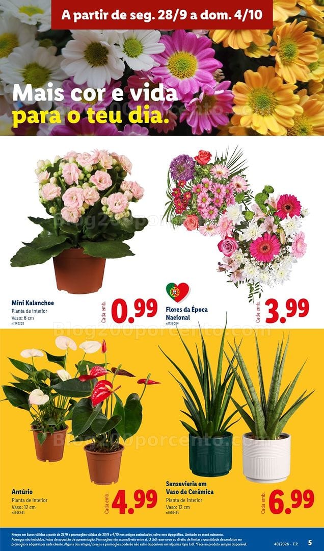 Antevisão Folheto LIDL Promoções de 28 setembro a 4 outubro - Edição Digital