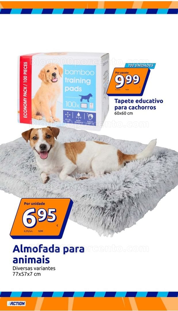 Antevisão Folheto ACTION Promoções de 23 a 29 setembro