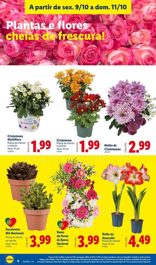 Antevisão Folheto LIDL Mercado de Plantas Promoções de 9 a 11 outubro
