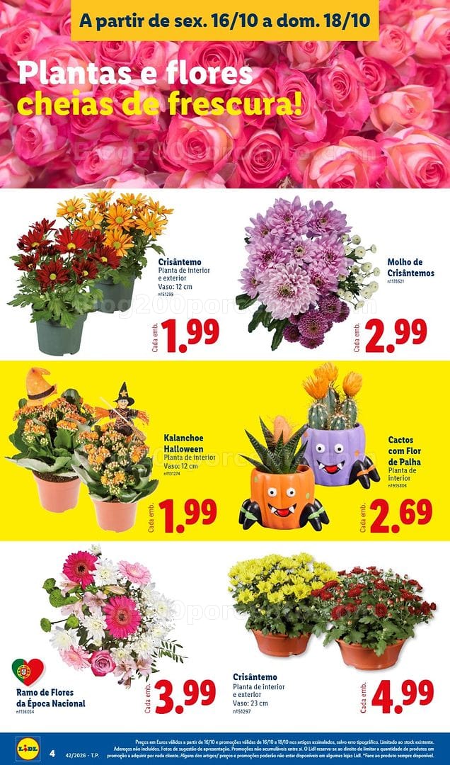 Antevisão Folheto LIDL Promoções Fim de Semana - 16 a 18 outubro - Edição Digital