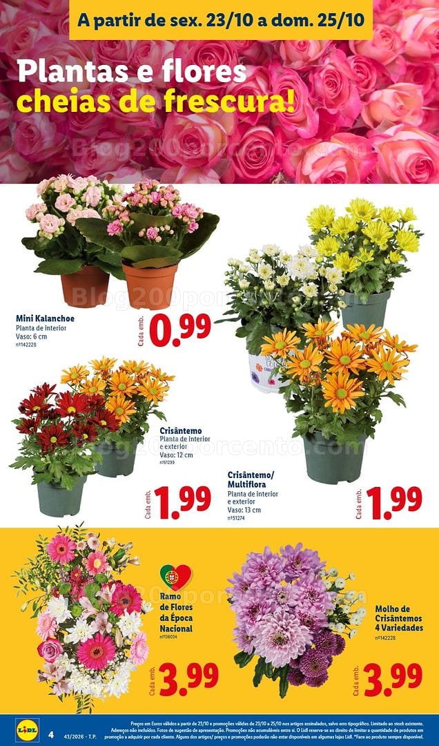 Antevisão Folheto LIDL Promoções Fim de Semana - 23 a 25 outubro - Edição Digital