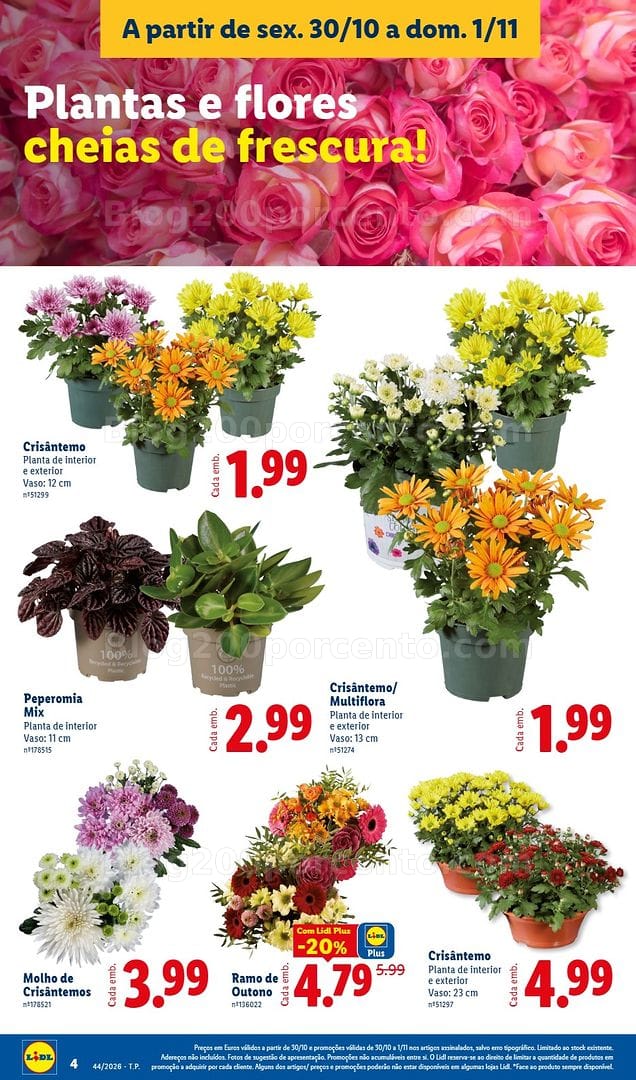 Antevisão Folheto LIDL Mercado de Plantas Fim de Semana Promoções de 30 outubro a 1 novembro