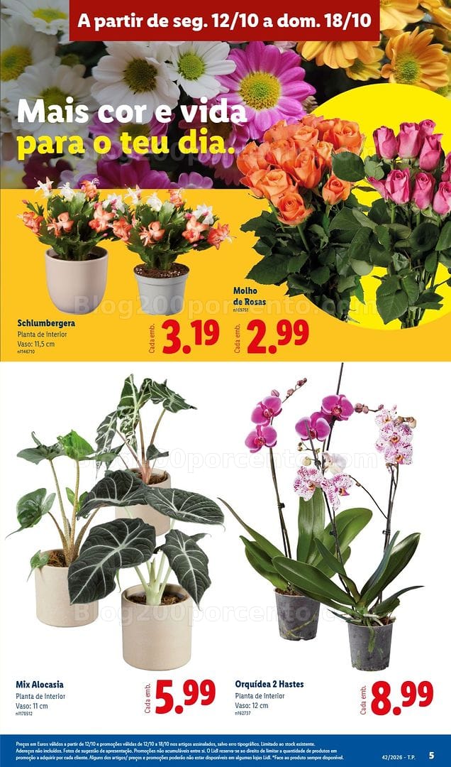 Antevisão Folheto LIDL Promoções de 12 a 18 outubro - Edição Digital