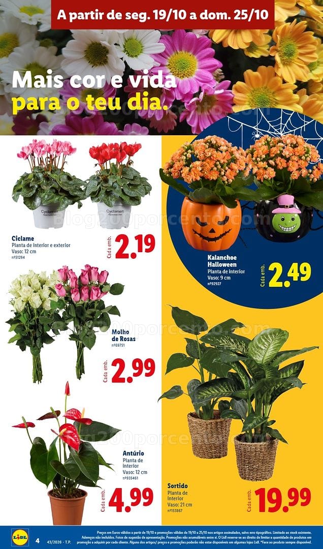 Antevisão Folheto LIDL Promoções de 19 a 25 outubro - Edição Digital