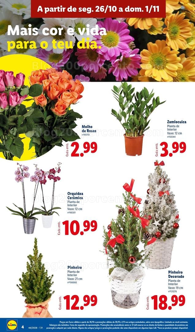Antevisão Folheto LIDL Mercado de Plantas Promoções de 26 outubro a 1 novembro