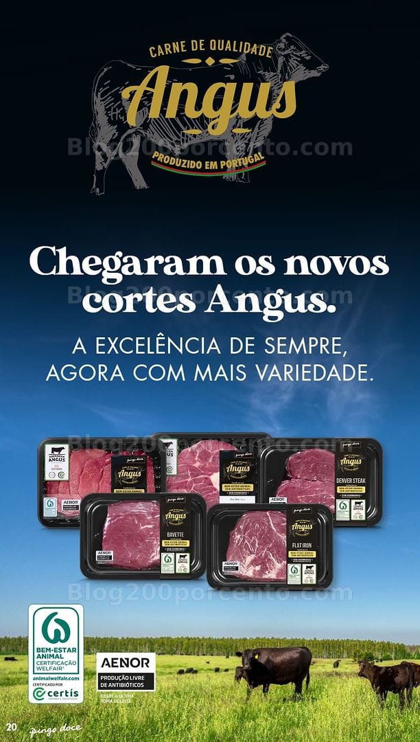 Antevisão Folheto PINGO DOCE Lojas Grandes Promoções de 13 a 19 outubro