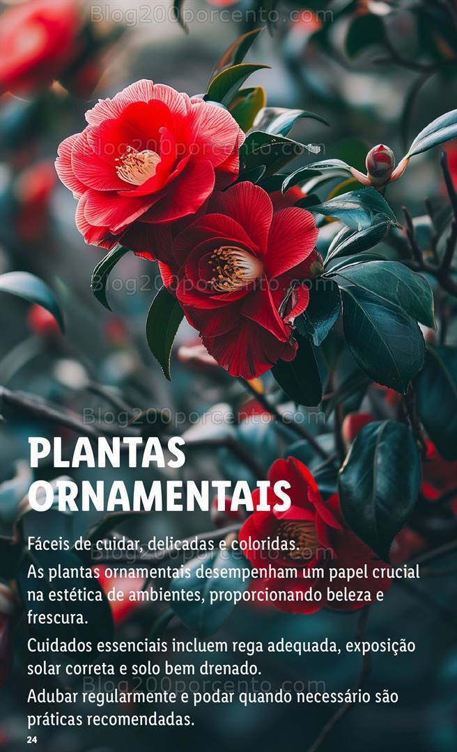 Antevisão Folheto LIDL Especial Jardim Promoções a partir de 7 março